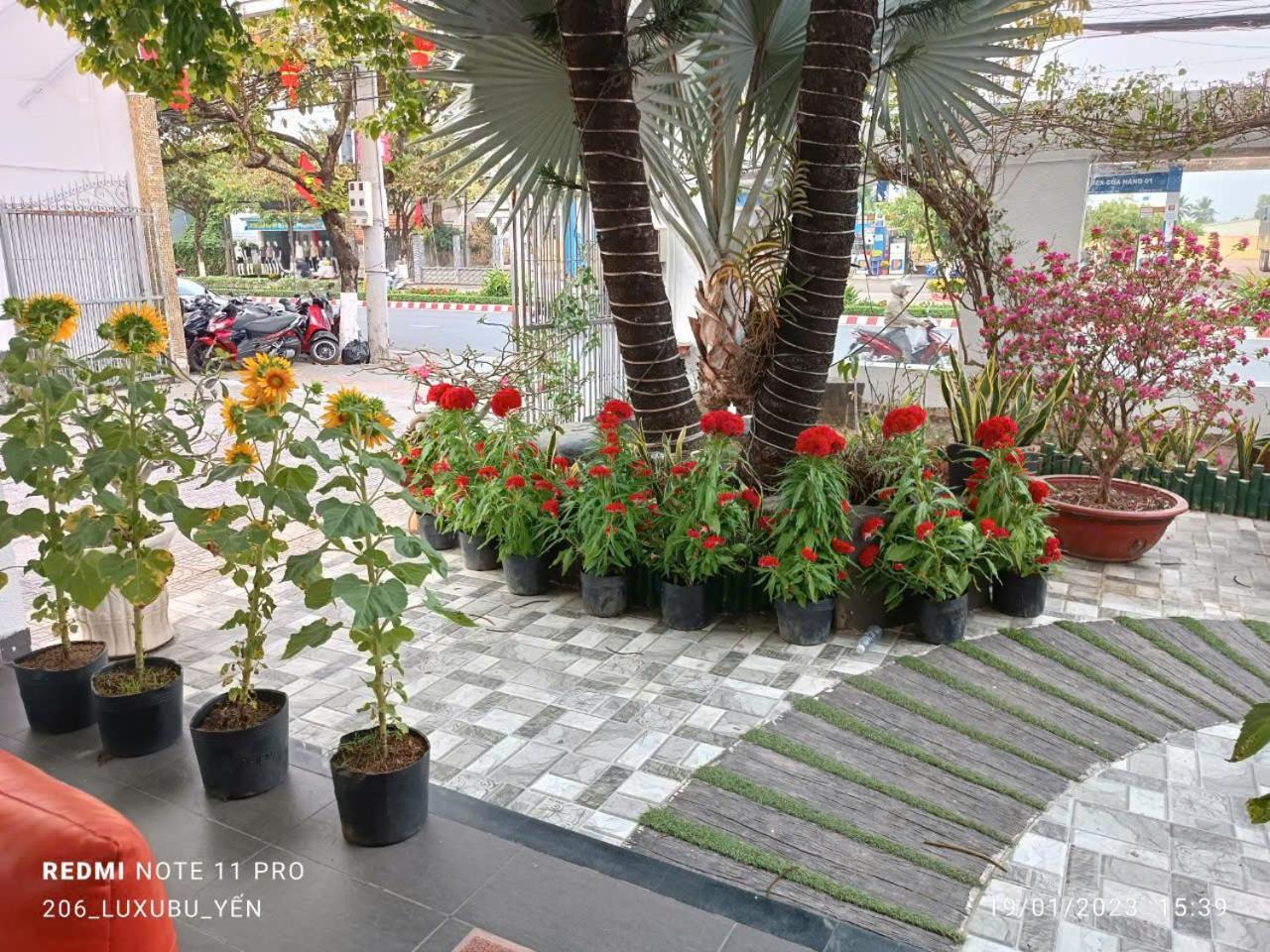 Mekong Hotel & Restaurant Ben Tre Eksteriør bilde